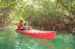 Kayak nature tours Freeport Bahamas